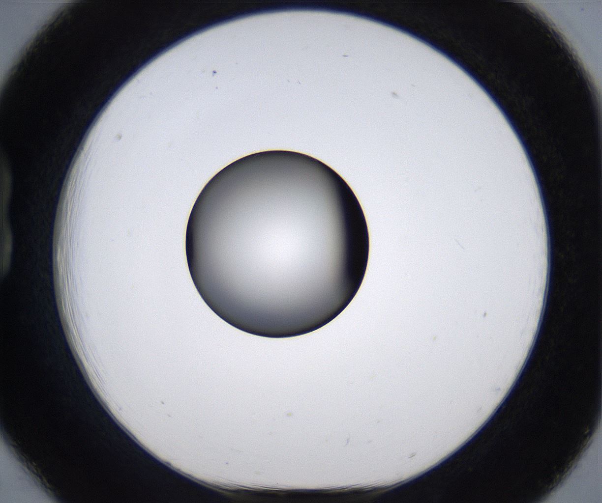 folderID301_plateID2301_batchID10847_wellNum18_profileID1_d1_r161055_ef.jpg