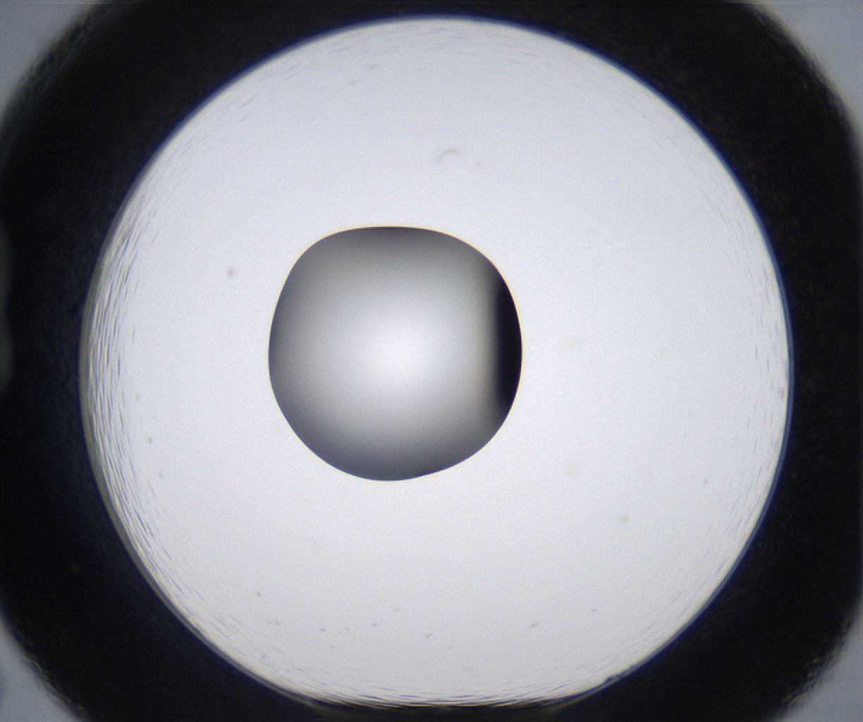 folderID301_plateID2301_batchID10847_wellNum19_profileID1_d1_r161056_ef.jpg