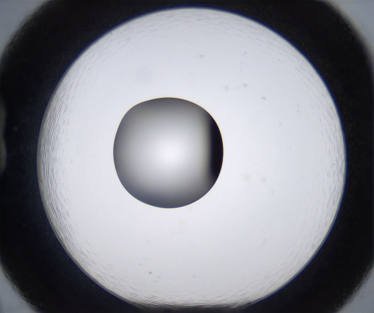 folderID301_plateID2301_batchID10847_wellNum20_profileID1_d1_r161057_ef.jpg