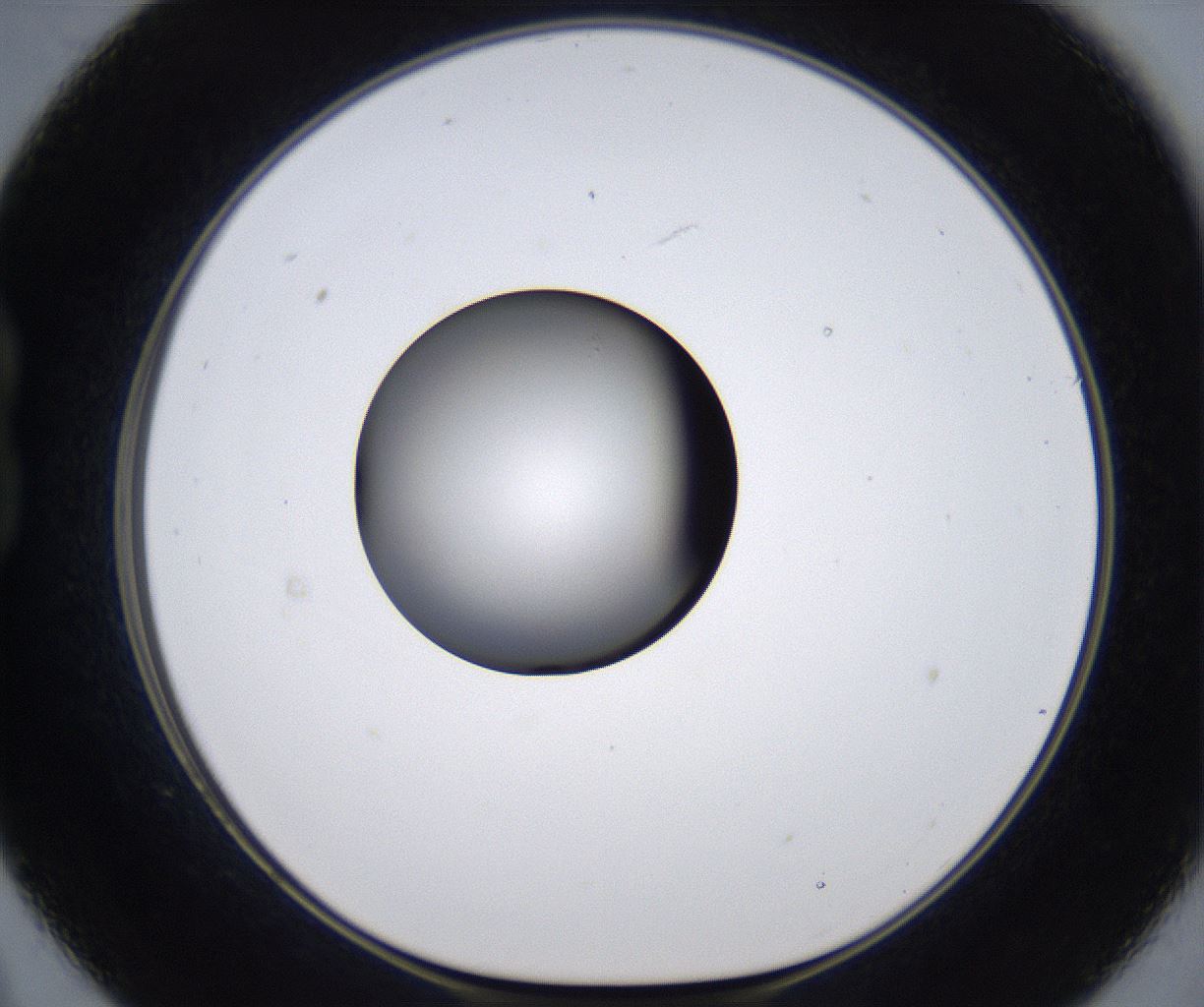 folderID301_plateID2301_batchID10847_wellNum21_profileID1_d1_r161058_ef.jpg