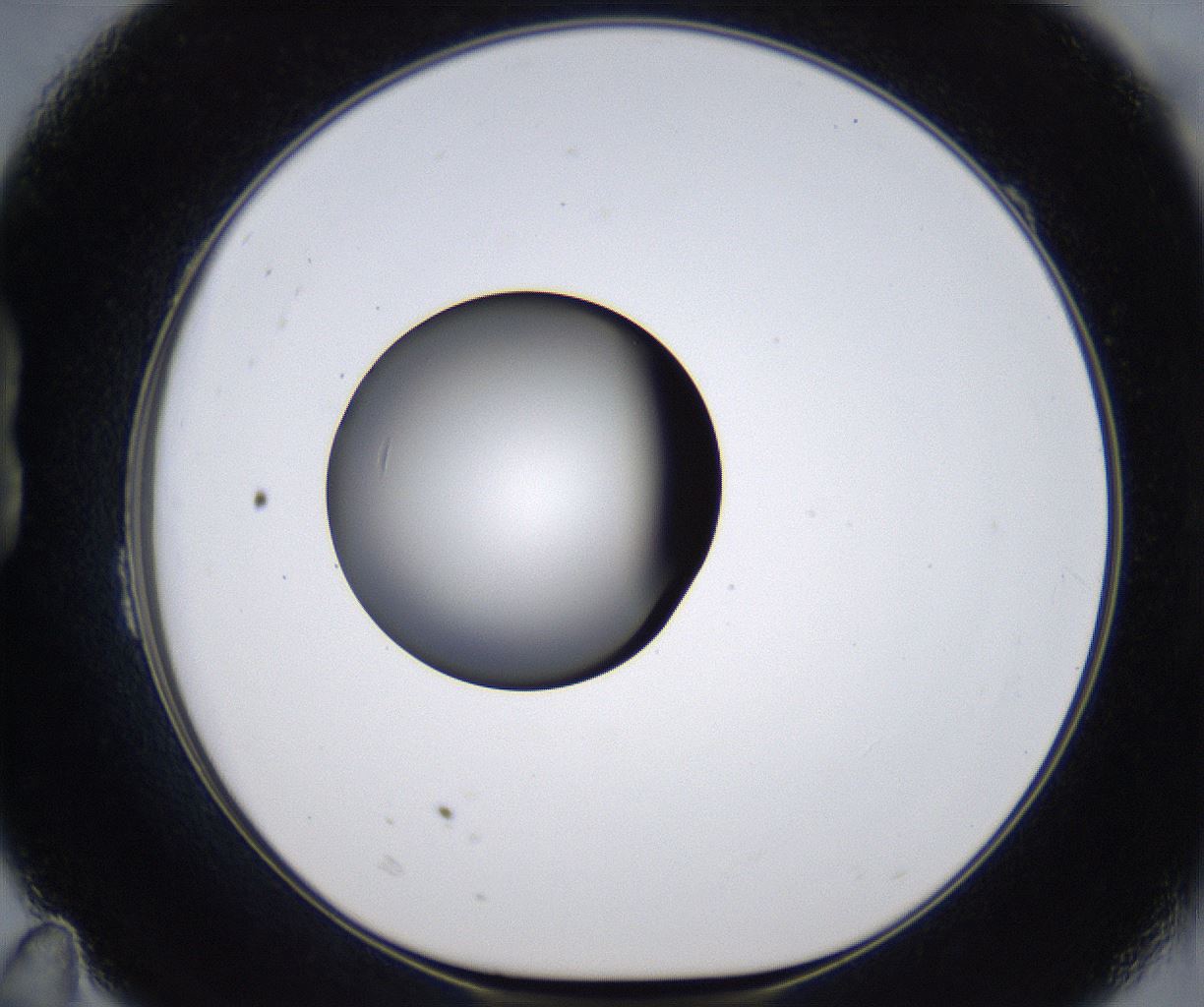 folderID301_plateID2301_batchID10847_wellNum23_profileID1_d1_r161060_ef.jpg