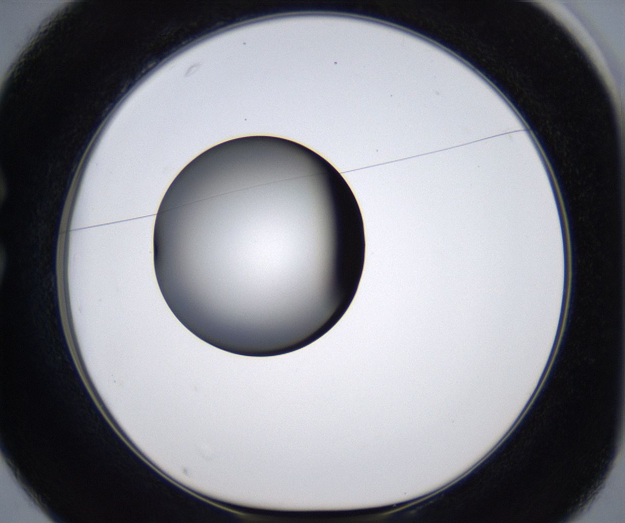 folderID301_plateID2301_batchID10847_wellNum25_profileID1_d1_r161062_ef.jpg