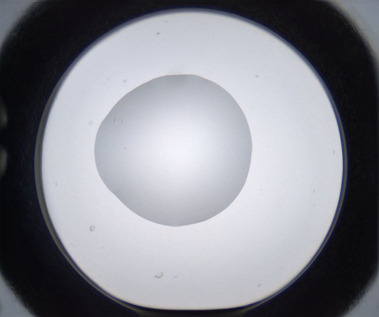 folderID301_plateID2301_batchID10847_wellNum30_profileID1_d1_r161067_ef.jpg