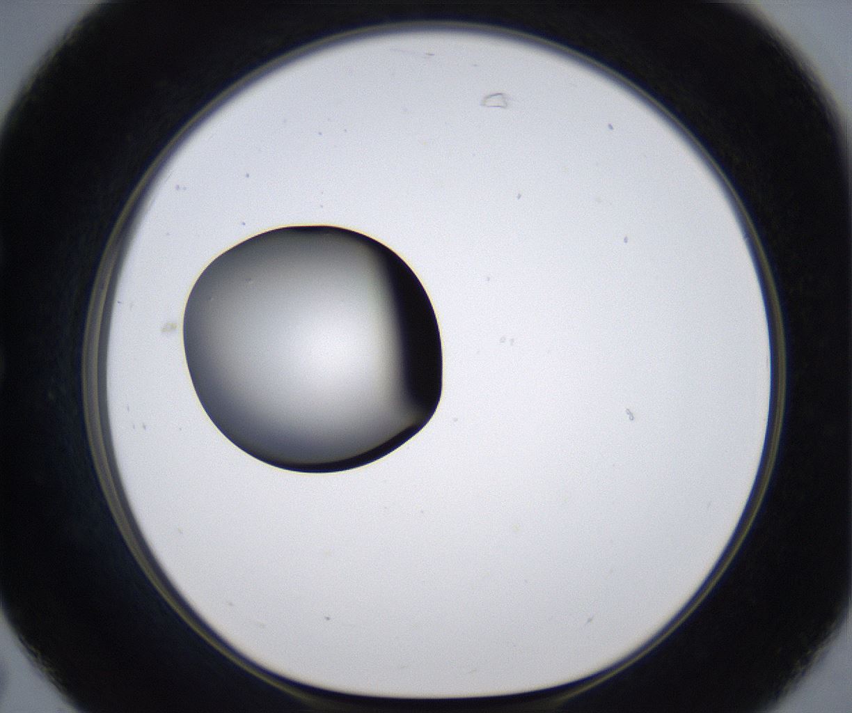 folderID301_plateID2301_batchID10847_wellNum31_profileID1_d1_r161068_ef.jpg