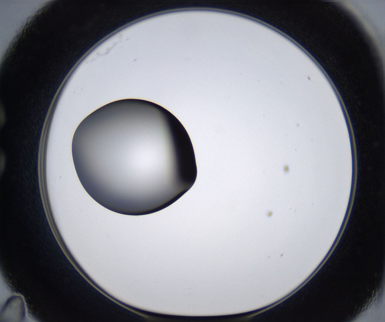 folderID301_plateID2301_batchID10847_wellNum35_profileID1_d1_r161072_ef.jpg
