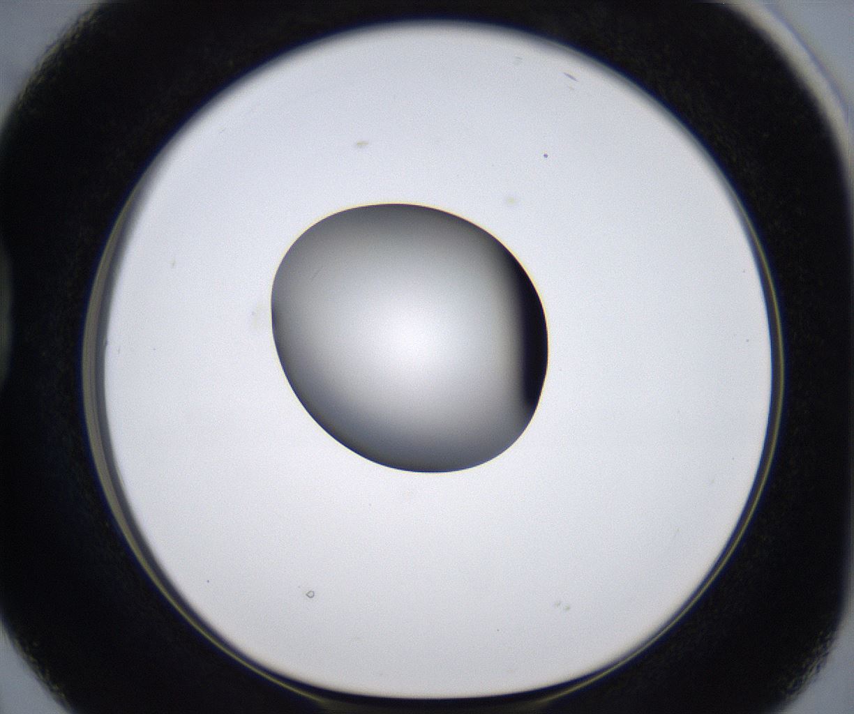 folderID301_plateID2301_batchID10847_wellNum38_profileID1_d1_r161075_ef.jpg