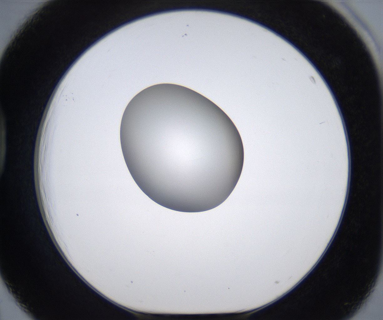 folderID301_plateID2301_batchID10847_wellNum39_profileID1_d1_r161076_ef.jpg