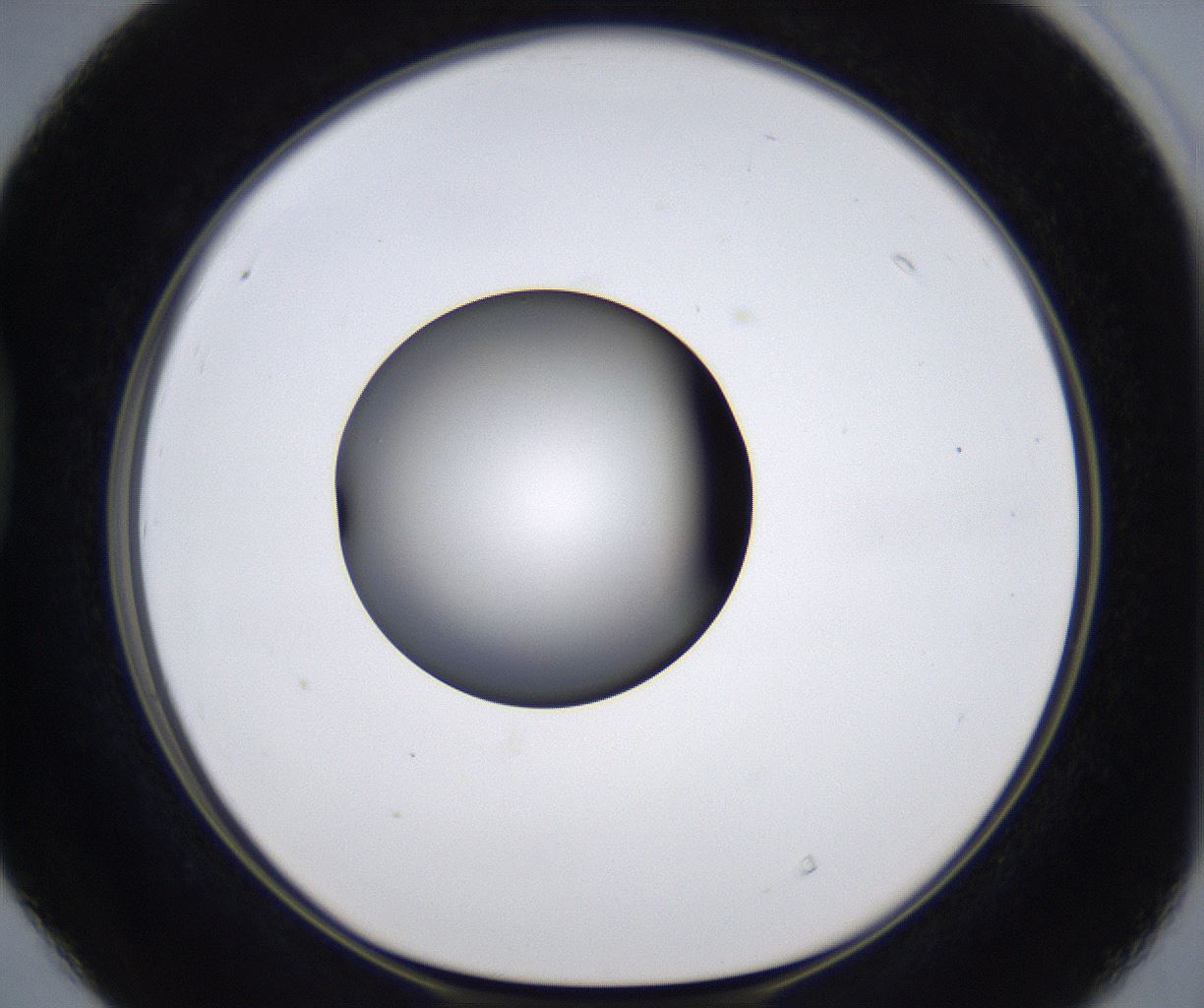 folderID301_plateID2301_batchID10847_wellNum40_profileID1_d1_r161077_ef.jpg