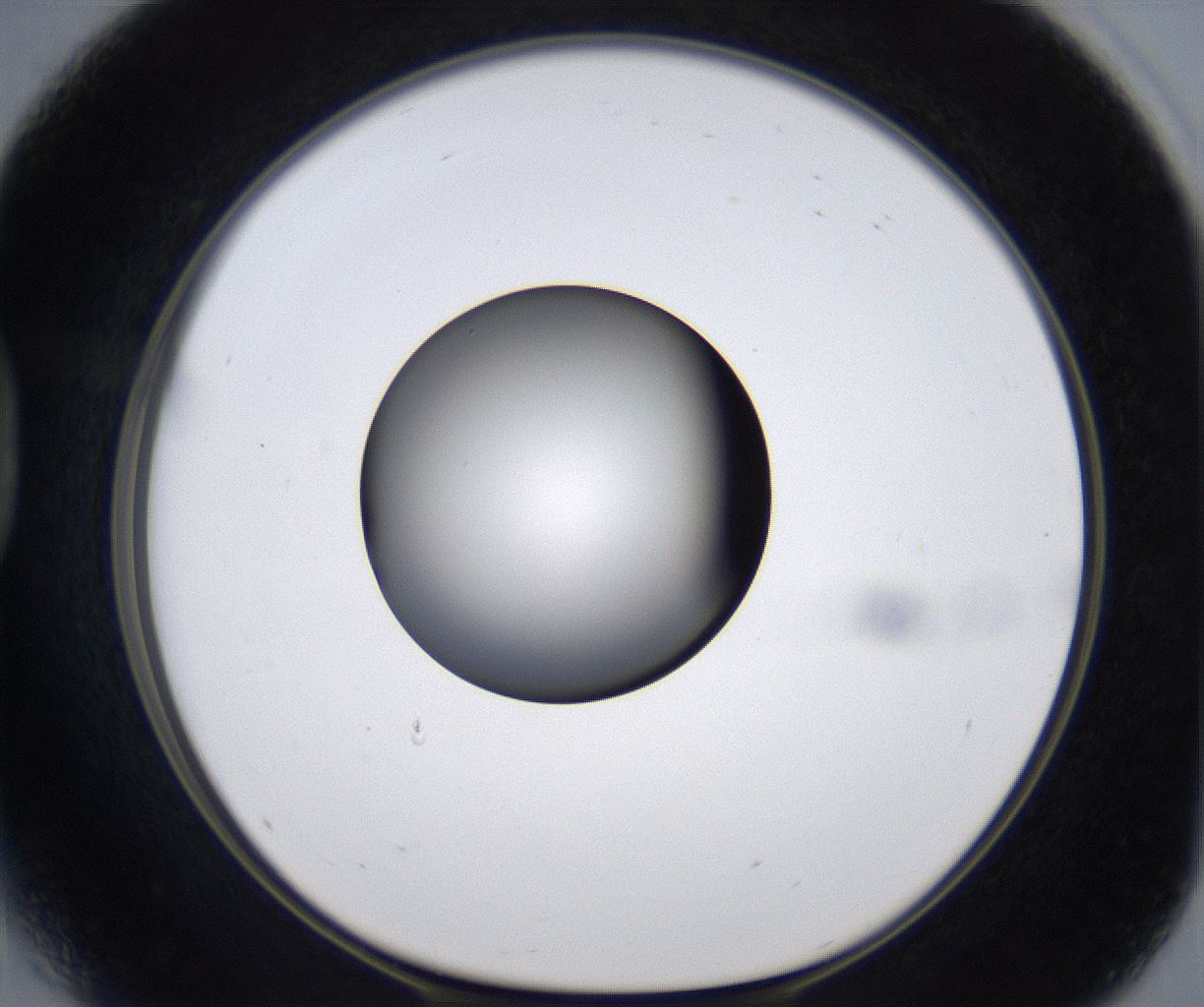 folderID301_plateID2301_batchID10847_wellNum41_profileID1_d1_r161078_ef.jpg