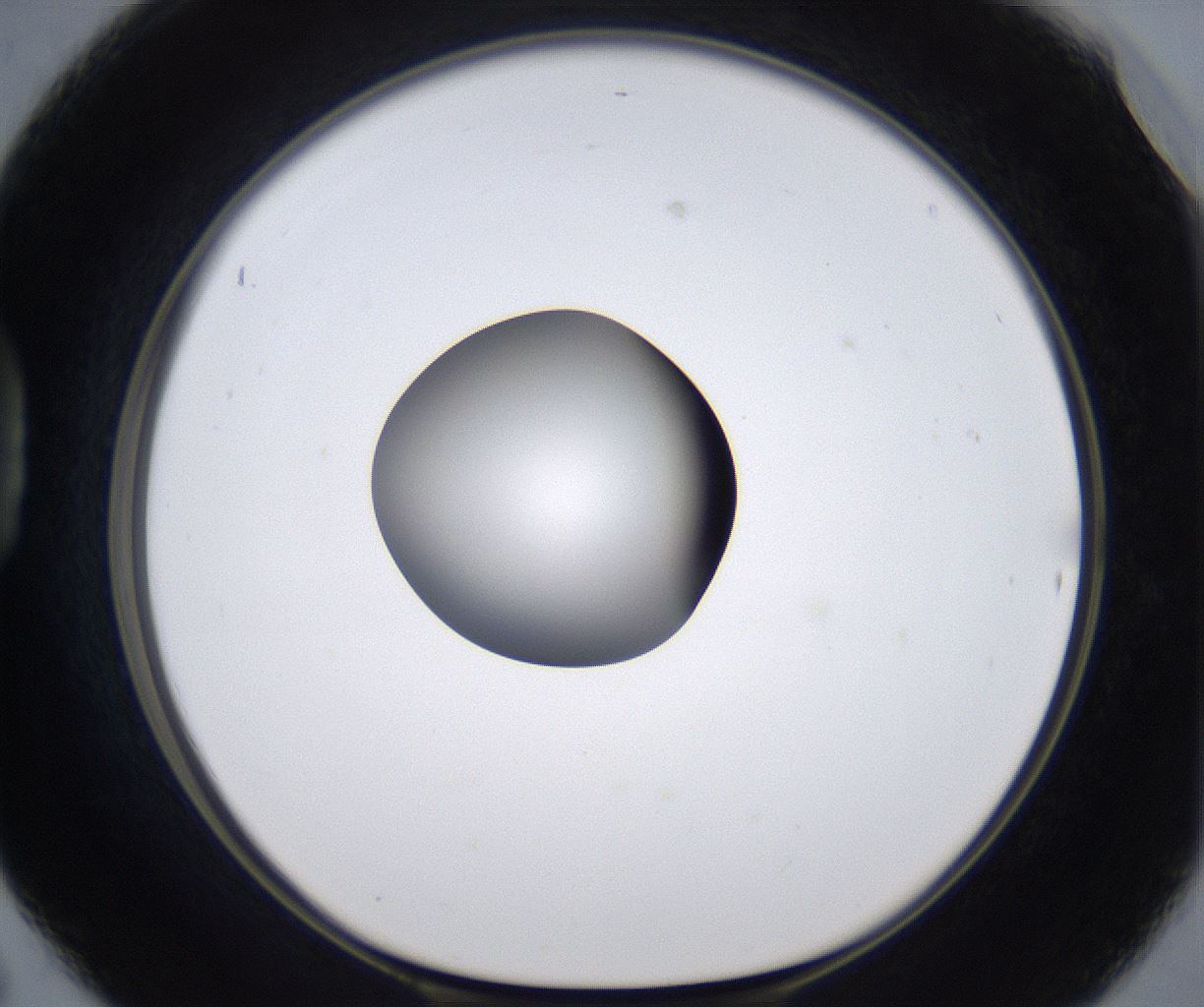 folderID301_plateID2301_batchID10847_wellNum42_profileID1_d1_r161079_ef.jpg
