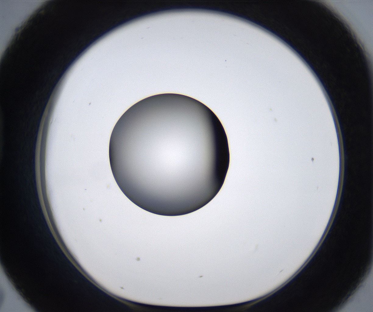 folderID301_plateID2301_batchID10847_wellNum43_profileID1_d1_r161080_ef.jpg