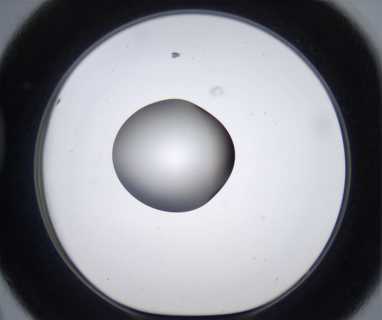 folderID301_plateID2301_batchID10847_wellNum44_profileID1_d1_r161081_ef.jpg