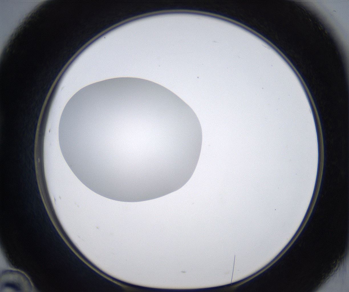 folderID301_plateID2301_batchID10847_wellNum46_profileID1_d1_r161083_ef.jpg