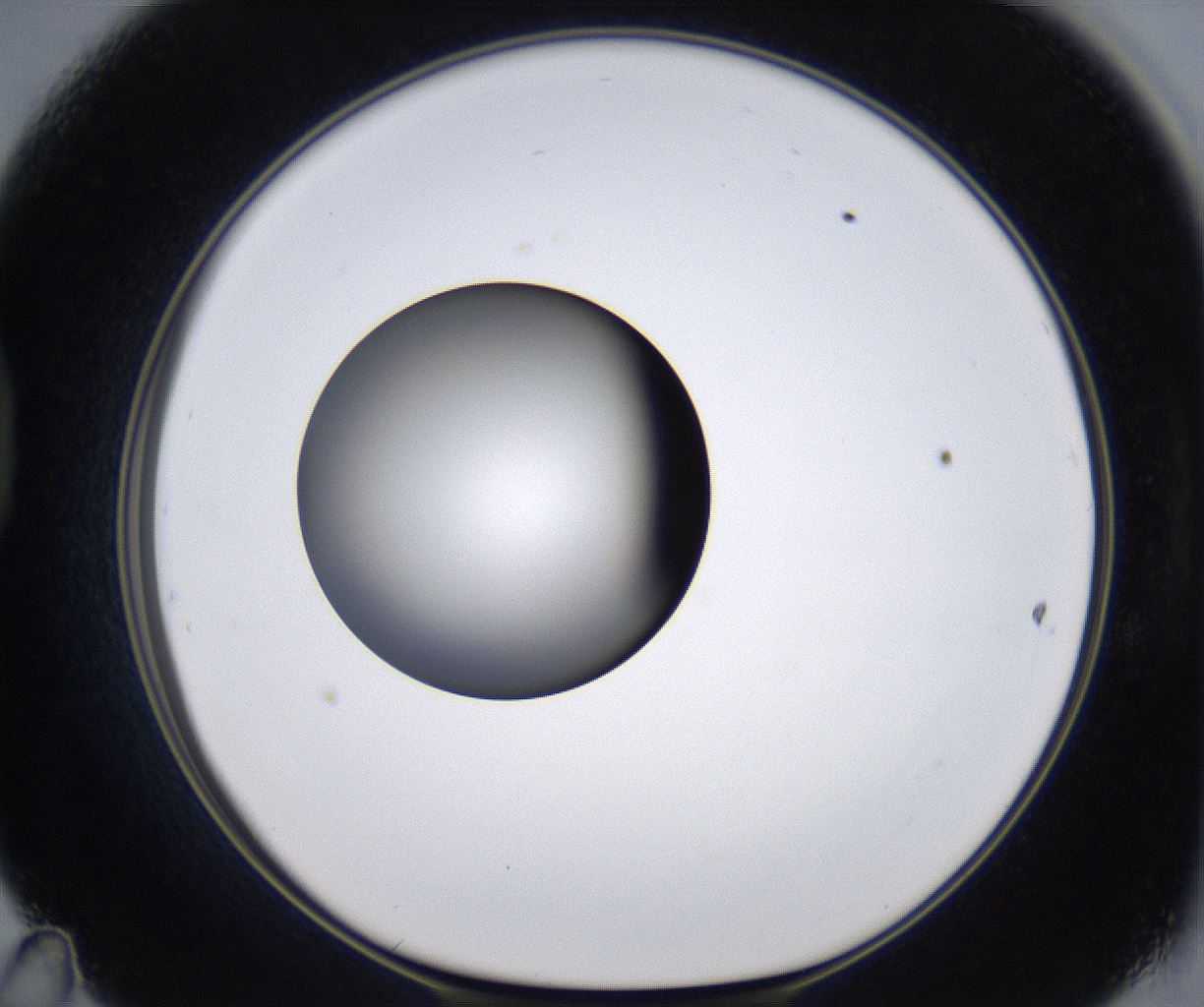 folderID301_plateID2301_batchID10847_wellNum47_profileID1_d1_r161084_ef.jpg