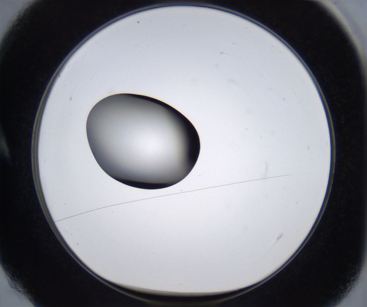 folderID301_plateID2301_batchID10847_wellNum4_profileID1_d1_r161041_ef.jpg