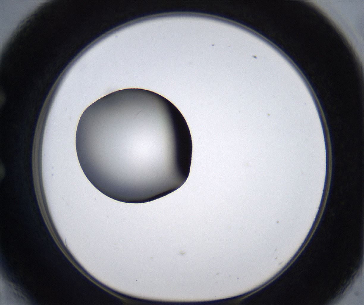 folderID301_plateID2301_batchID10847_wellNum54_profileID1_d1_r161091_ef.jpg