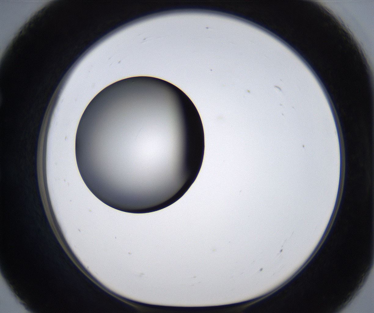 folderID301_plateID2301_batchID10847_wellNum55_profileID1_d1_r161092_ef.jpg