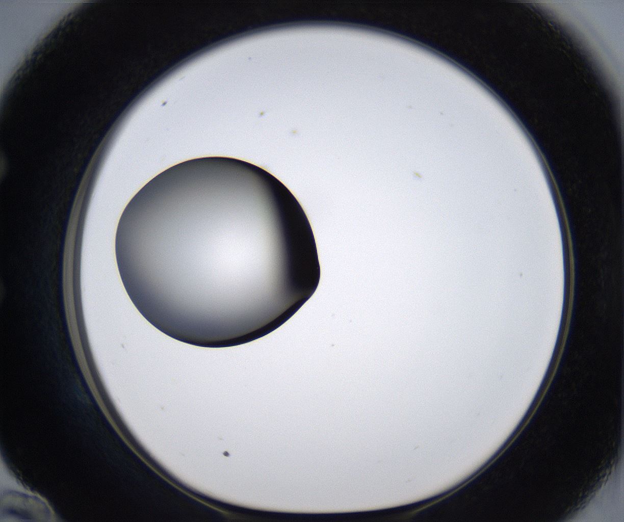 folderID301_plateID2301_batchID10847_wellNum58_profileID1_d1_r161095_ef.jpg