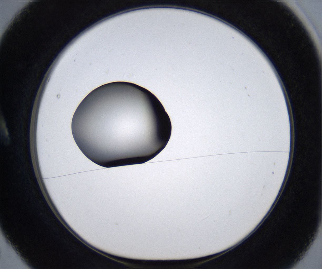folderID301_plateID2301_batchID10847_wellNum5_profileID1_d1_r161042_ef.jpg