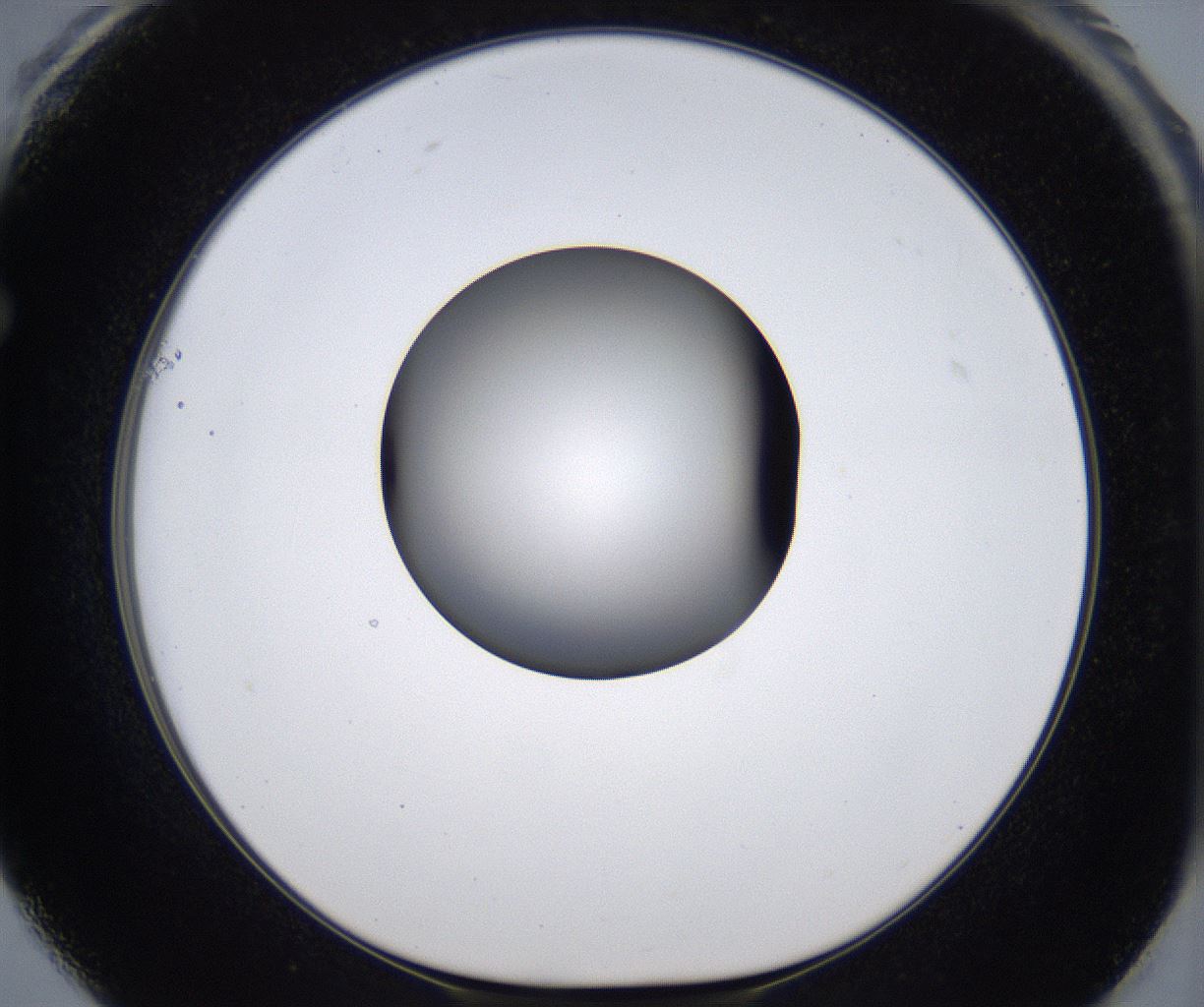 folderID301_plateID2301_batchID10847_wellNum61_profileID1_d1_r161098_ef.jpg