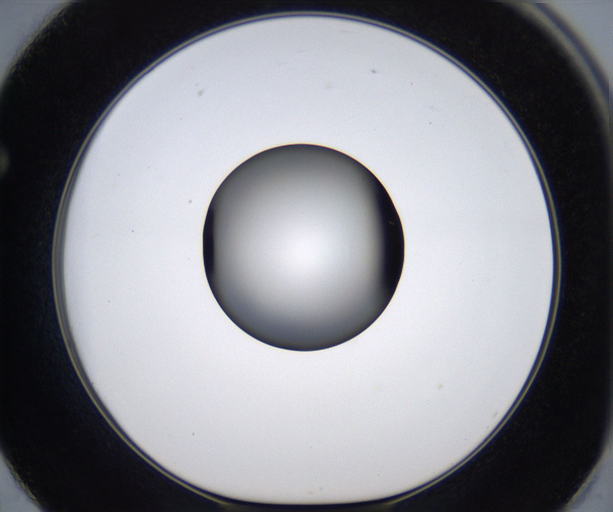folderID301_plateID2301_batchID10847_wellNum62_profileID1_d1_r161099_ef.jpg