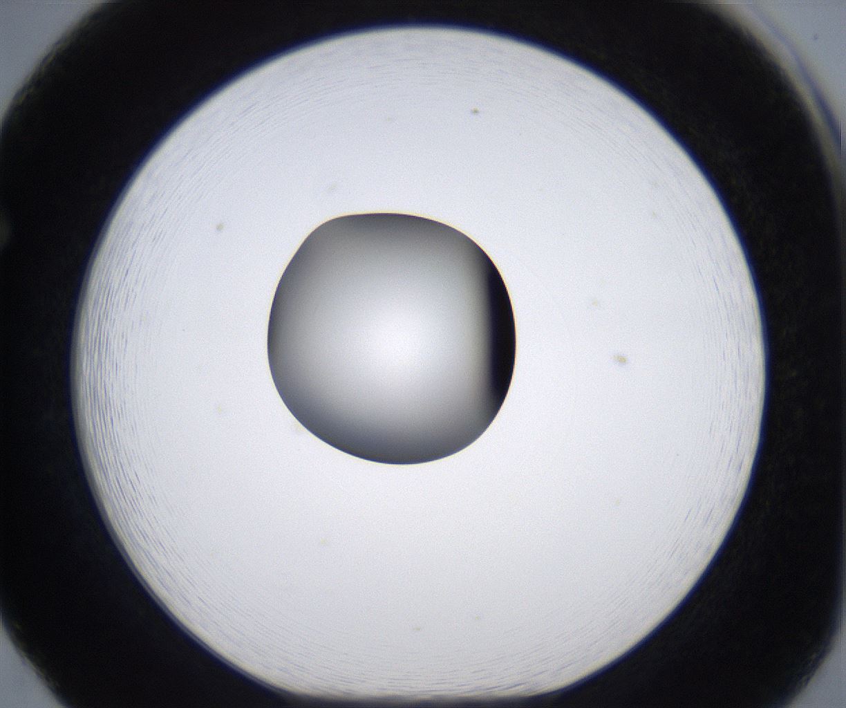 folderID301_plateID2301_batchID10847_wellNum65_profileID1_d1_r161102_ef.jpg
