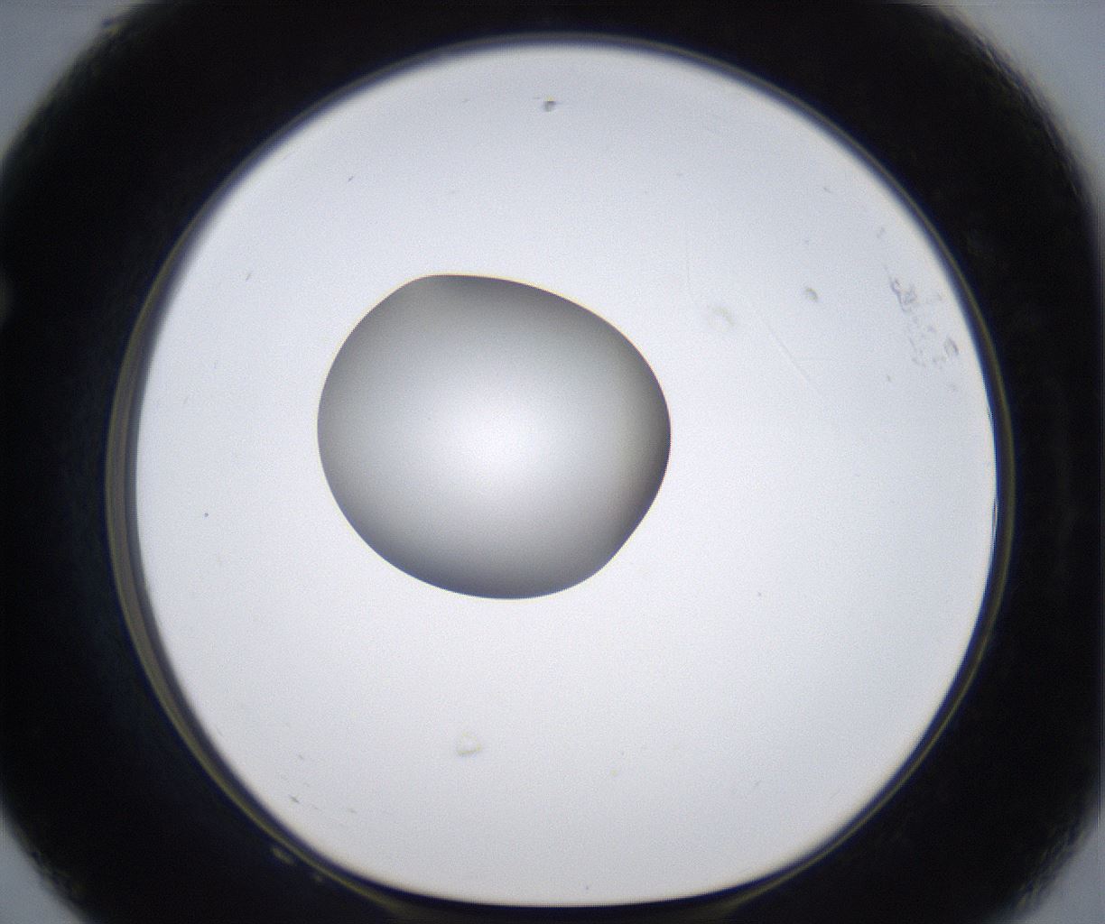 folderID301_plateID2301_batchID10847_wellNum68_profileID1_d1_r161105_ef.jpg