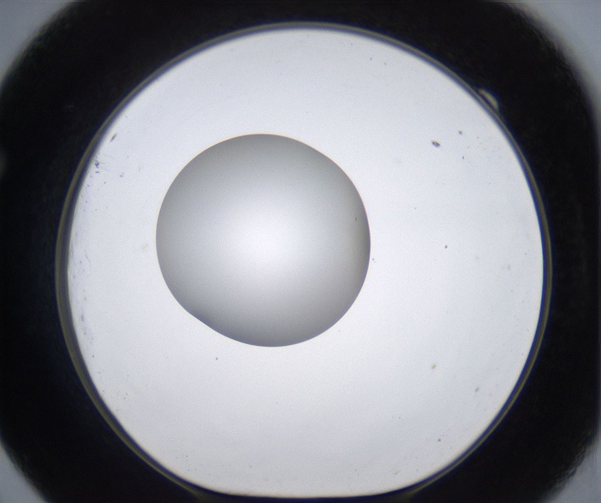 folderID301_plateID2301_batchID10847_wellNum69_profileID1_d1_r161106_ef.jpg
