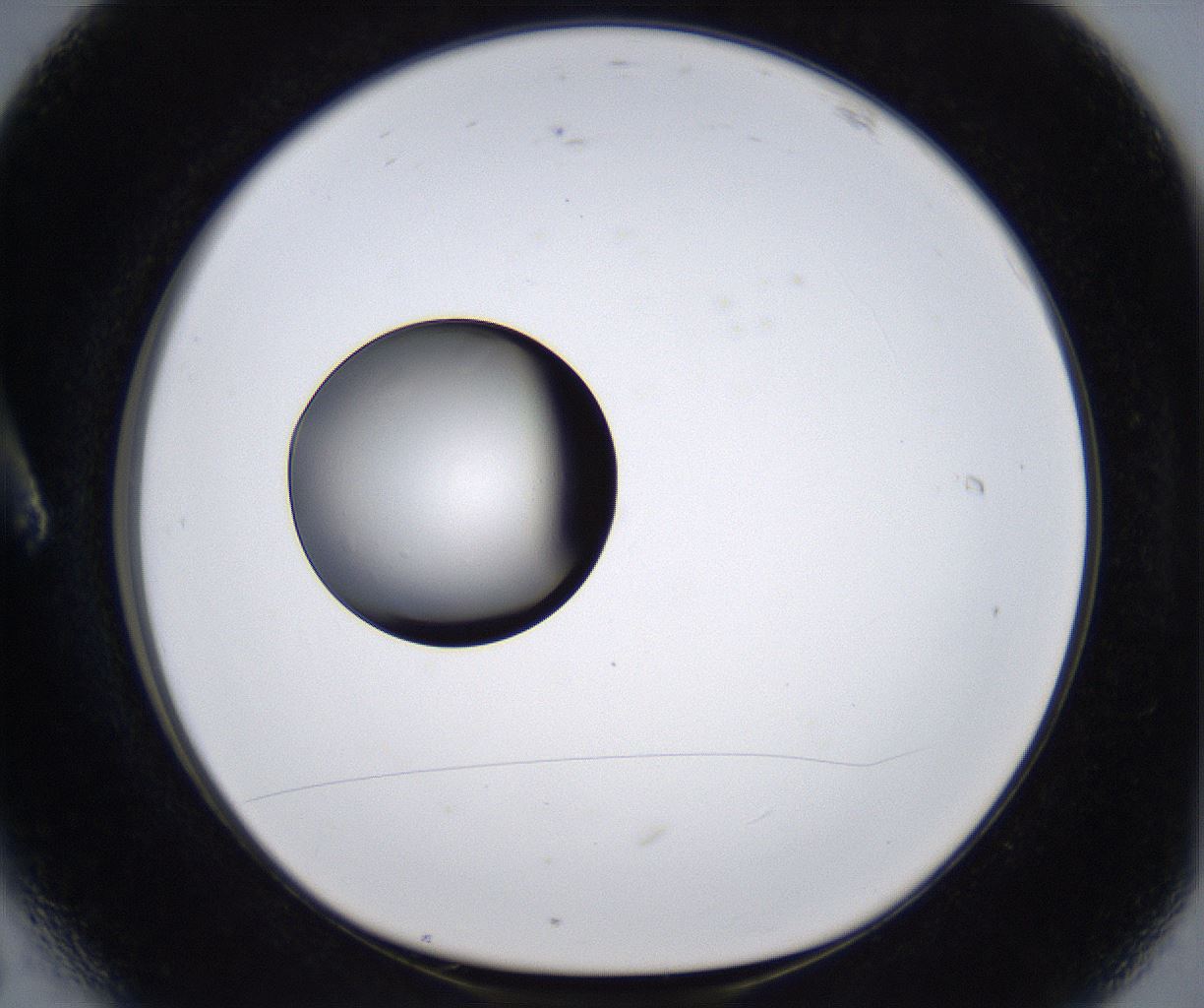 folderID301_plateID2301_batchID10847_wellNum6_profileID1_d1_r161043_ef.jpg