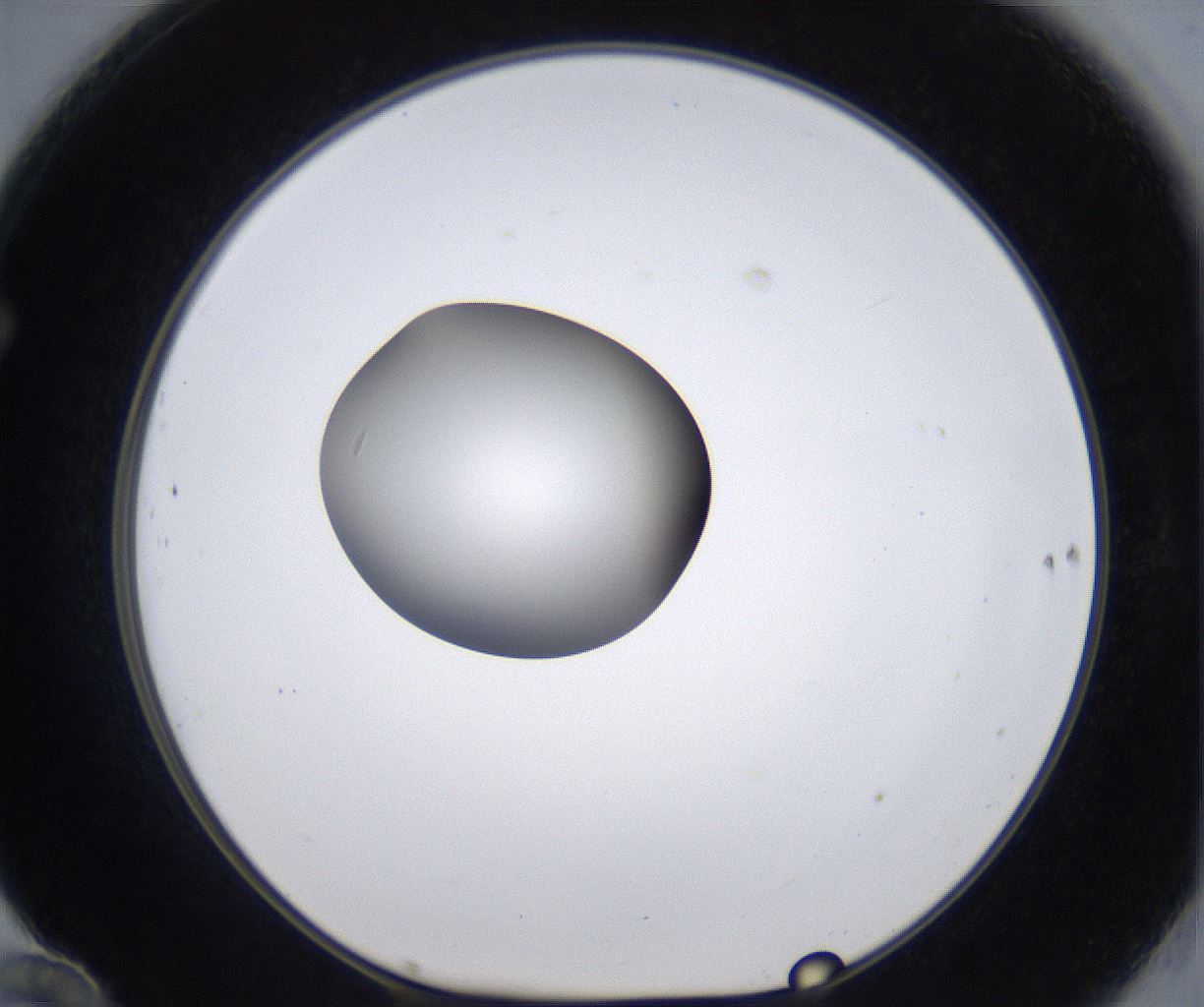 folderID301_plateID2301_batchID10847_wellNum70_profileID1_d1_r161107_ef.jpg