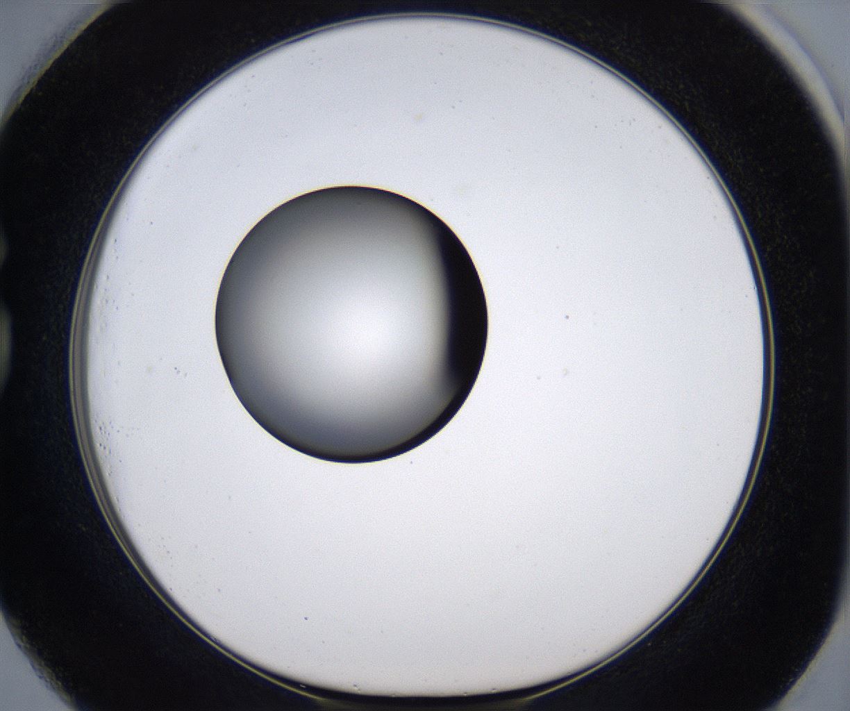 folderID301_plateID2301_batchID10847_wellNum73_profileID1_d1_r161110_ef.jpg