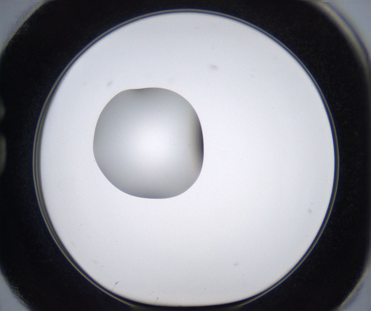folderID301_plateID2301_batchID10847_wellNum74_profileID1_d1_r161111_ef.jpg