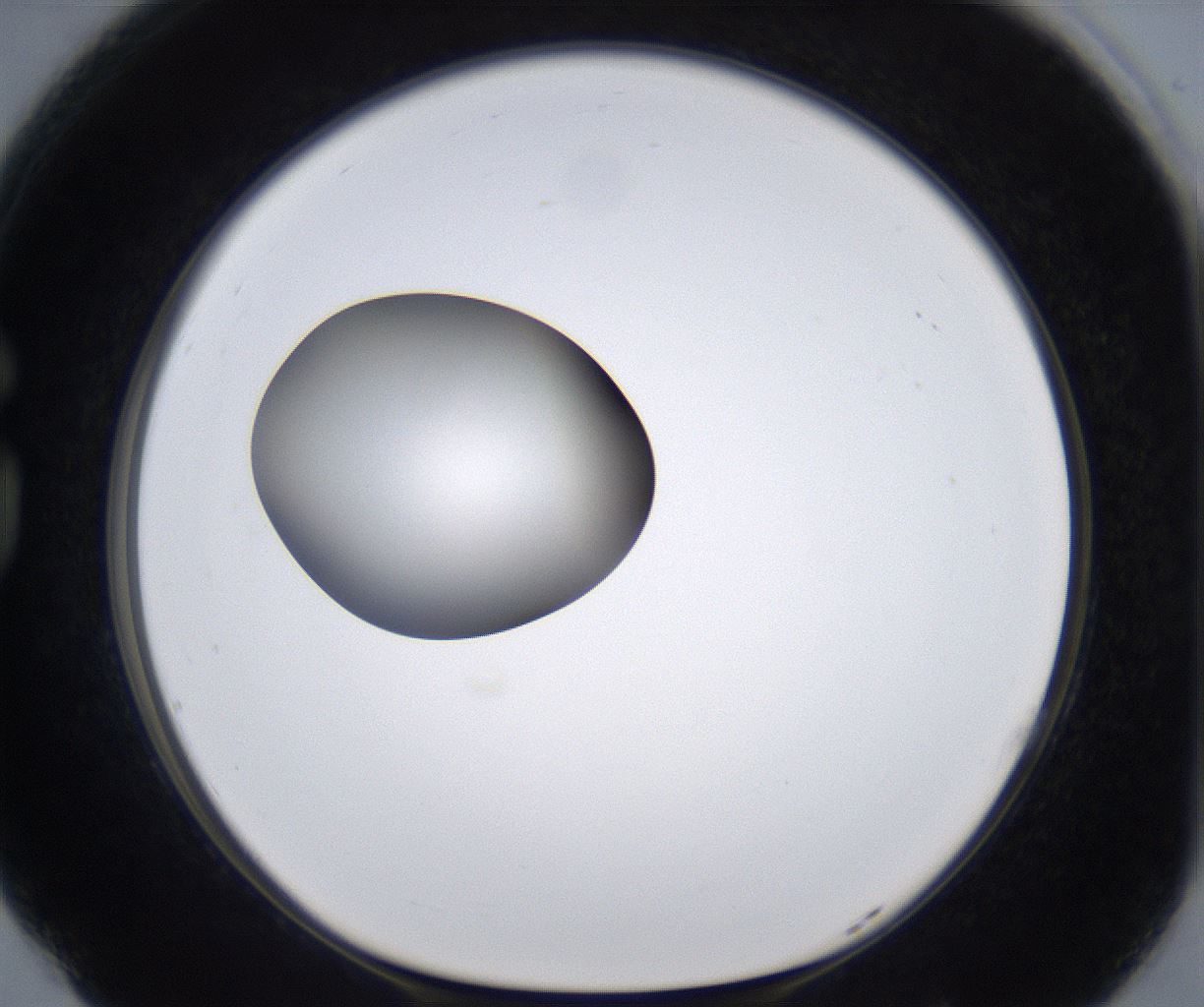 folderID301_plateID2301_batchID10847_wellNum77_profileID1_d1_r161114_ef.jpg