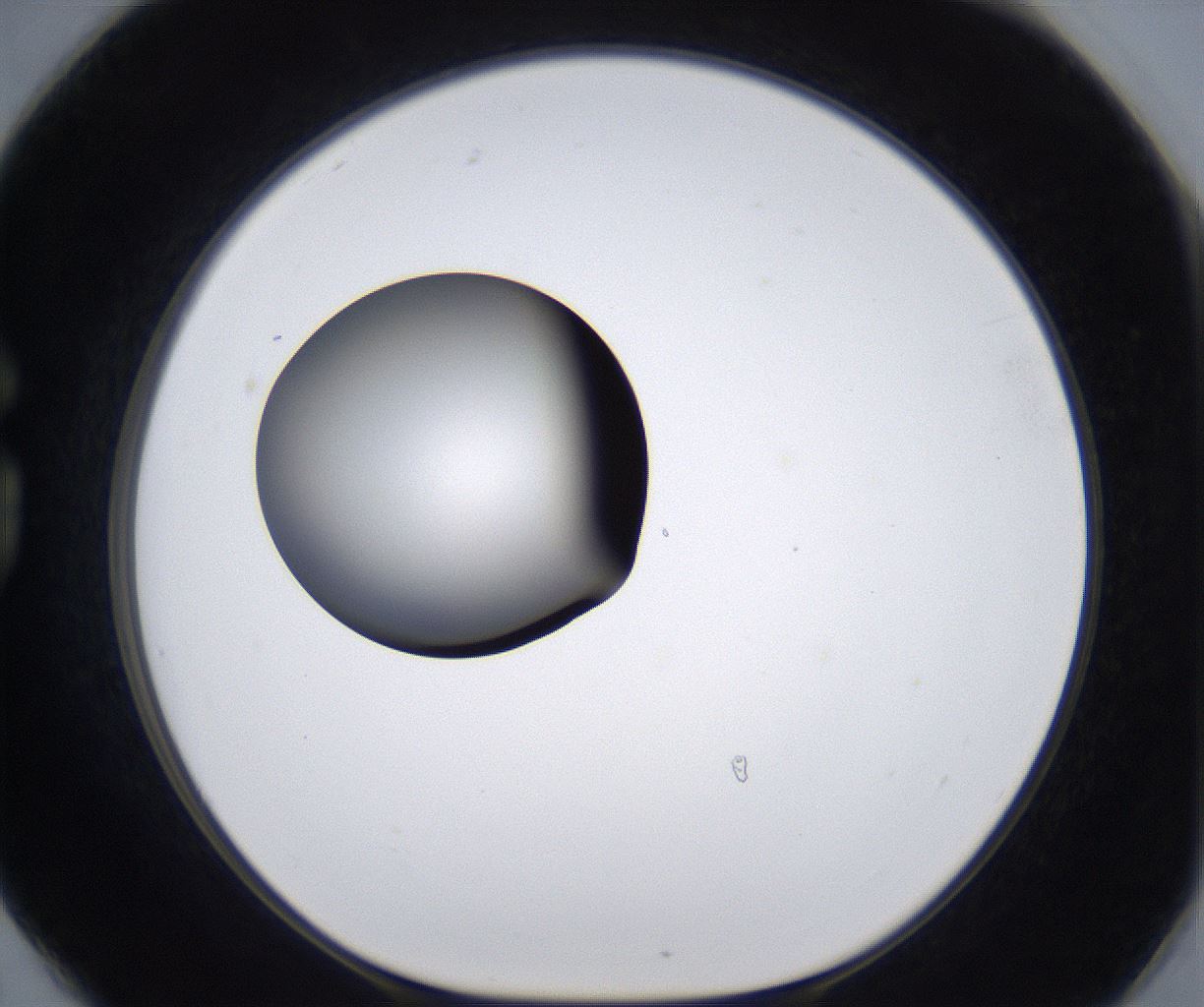 folderID301_plateID2301_batchID10847_wellNum78_profileID1_d1_r161115_ef.jpg