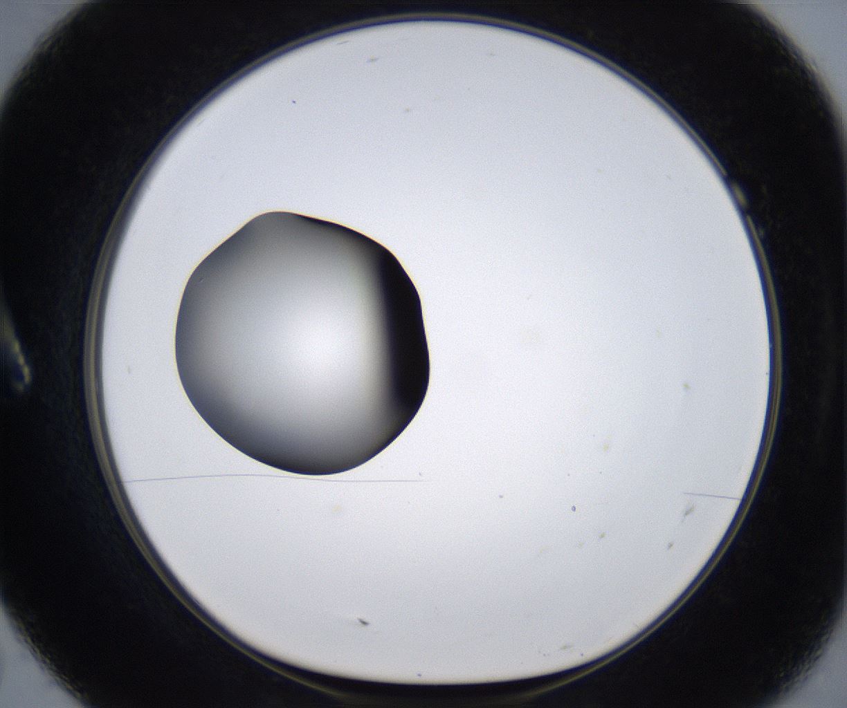 folderID301_plateID2301_batchID10847_wellNum7_profileID1_d1_r161044_ef.jpg