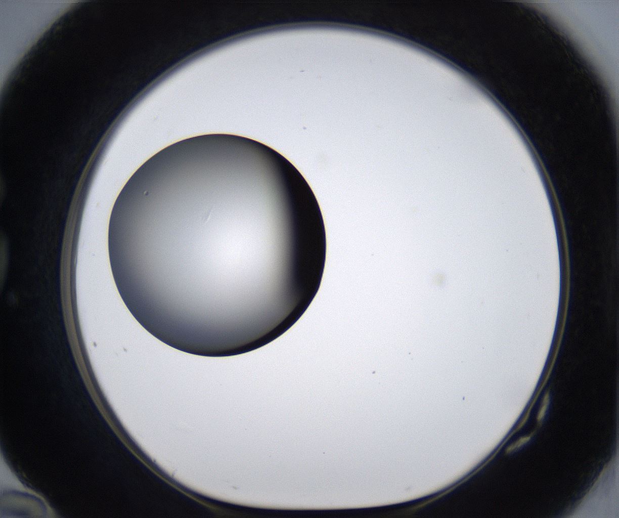 folderID301_plateID2301_batchID10847_wellNum82_profileID1_d1_r161119_ef.jpg