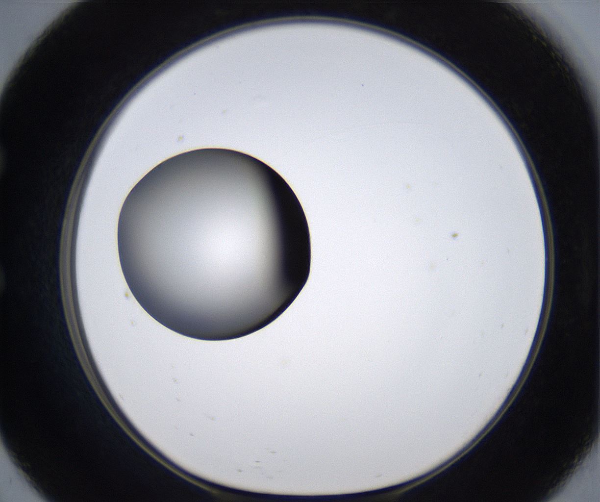 folderID301_plateID2301_batchID10847_wellNum57_profileID1_d1_r161094_ef.jpg