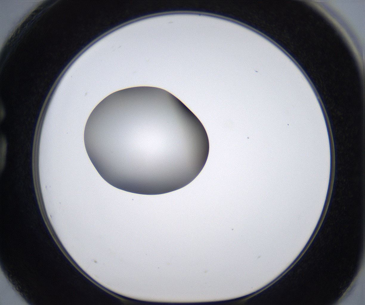 folderID301_plateID2301_batchID10847_wellNum75_profileID1_d1_r161112_ef.jpg