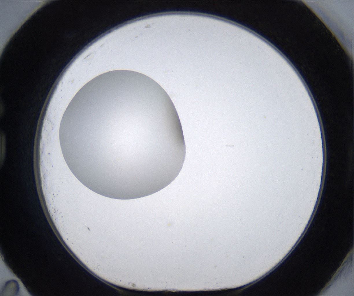 folderID301_plateID2301_batchID10847_wellNum83_profileID1_d1_r161120_ef.jpg