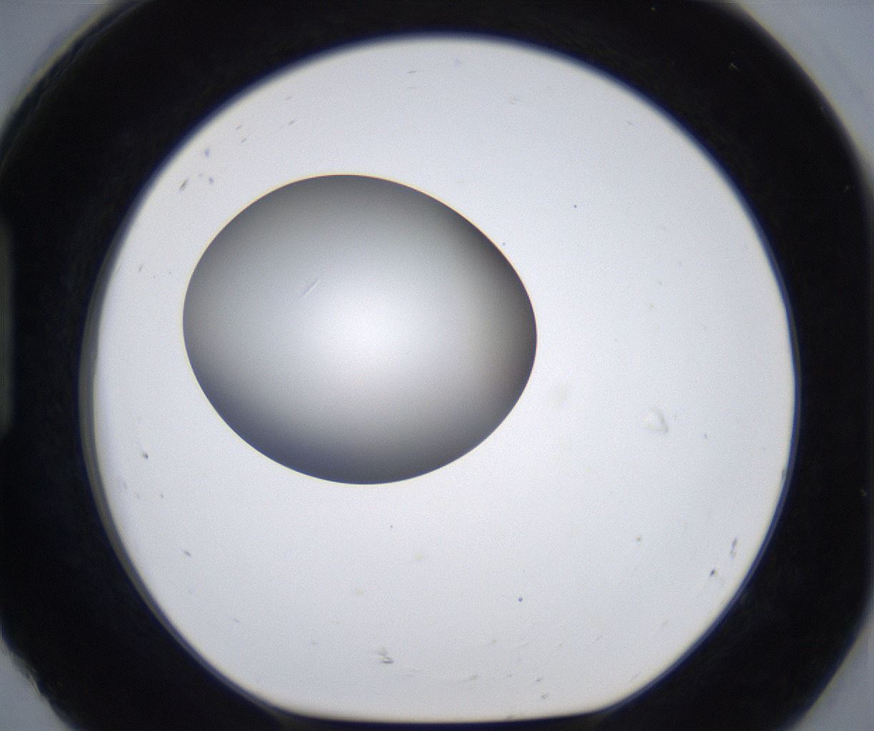 folderID301_plateID2301_batchID10847_wellNum92_profileID1_d1_r161129_ef.jpg