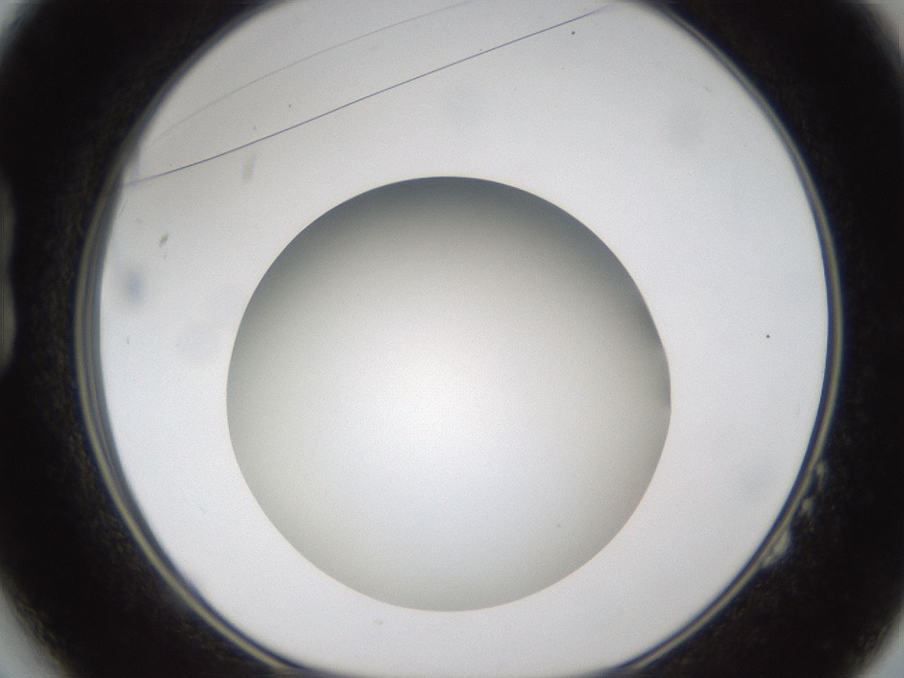 folderID302_plateID1302_batchID4262_wellNum14_profileID1_d1_r78309_ef.jpg
