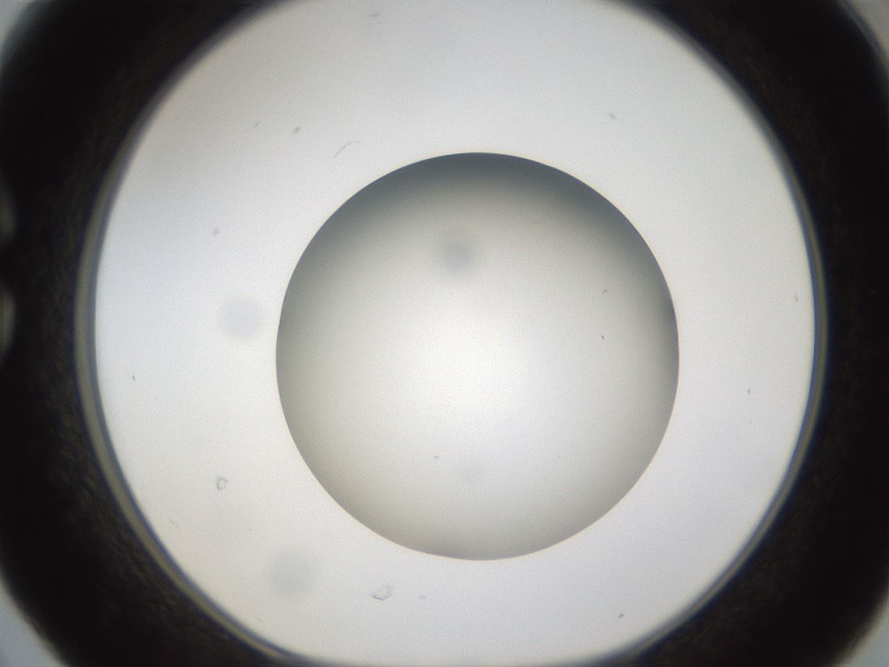 folderID302_plateID1302_batchID4262_wellNum30_profileID1_d1_r78325_ef.jpg