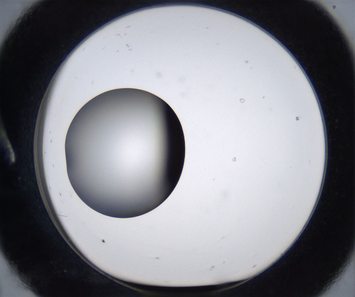 folderID301_plateID2301_batchID10847_wellNum8_profileID1_d1_r161045_ef.jpg