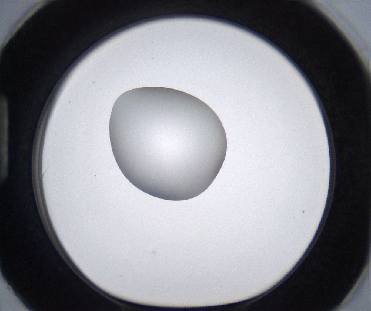 folderID301_plateID2301_batchID10847_wellNum90_profileID1_d1_r161127_ef.jpg