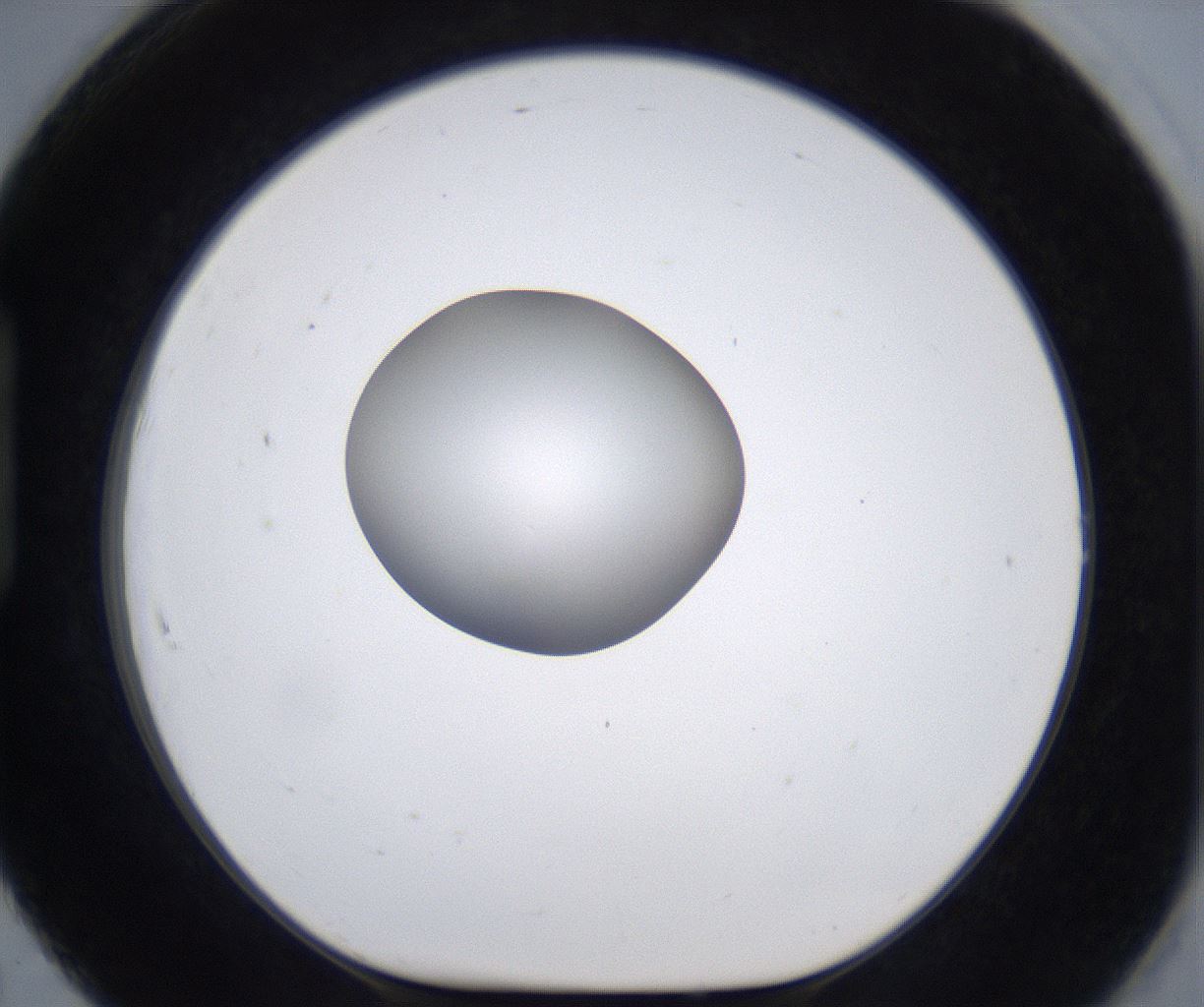 folderID301_plateID2301_batchID10847_wellNum91_profileID1_d1_r161128_ef.jpg