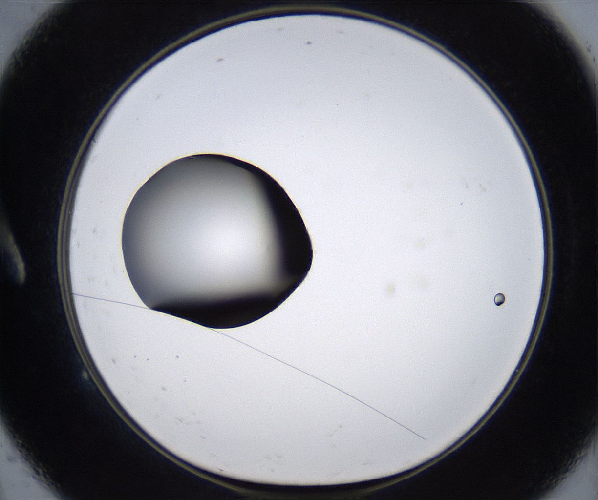 folderID301_plateID2301_batchID10847_wellNum9_profileID1_d1_r161046_ef.jpg