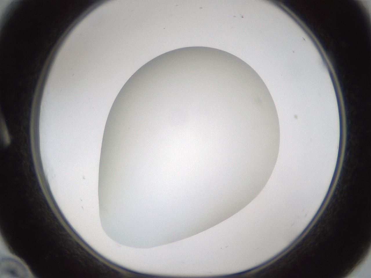 folderID302_plateID1302_batchID4262_wellNum10_profileID1_d1_r78305_ef.jpg