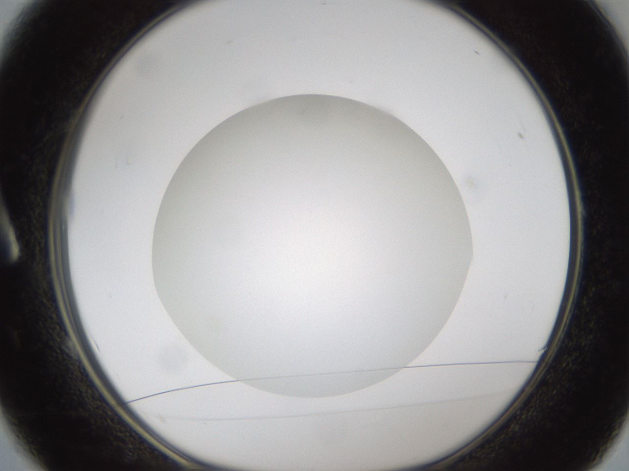folderID302_plateID1302_batchID4262_wellNum1_profileID1_d1_r78296_ef.jpg