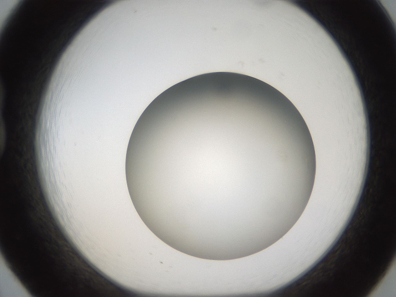folderID302_plateID1302_batchID4262_wellNum20_profileID1_d1_r78315_ef.jpg