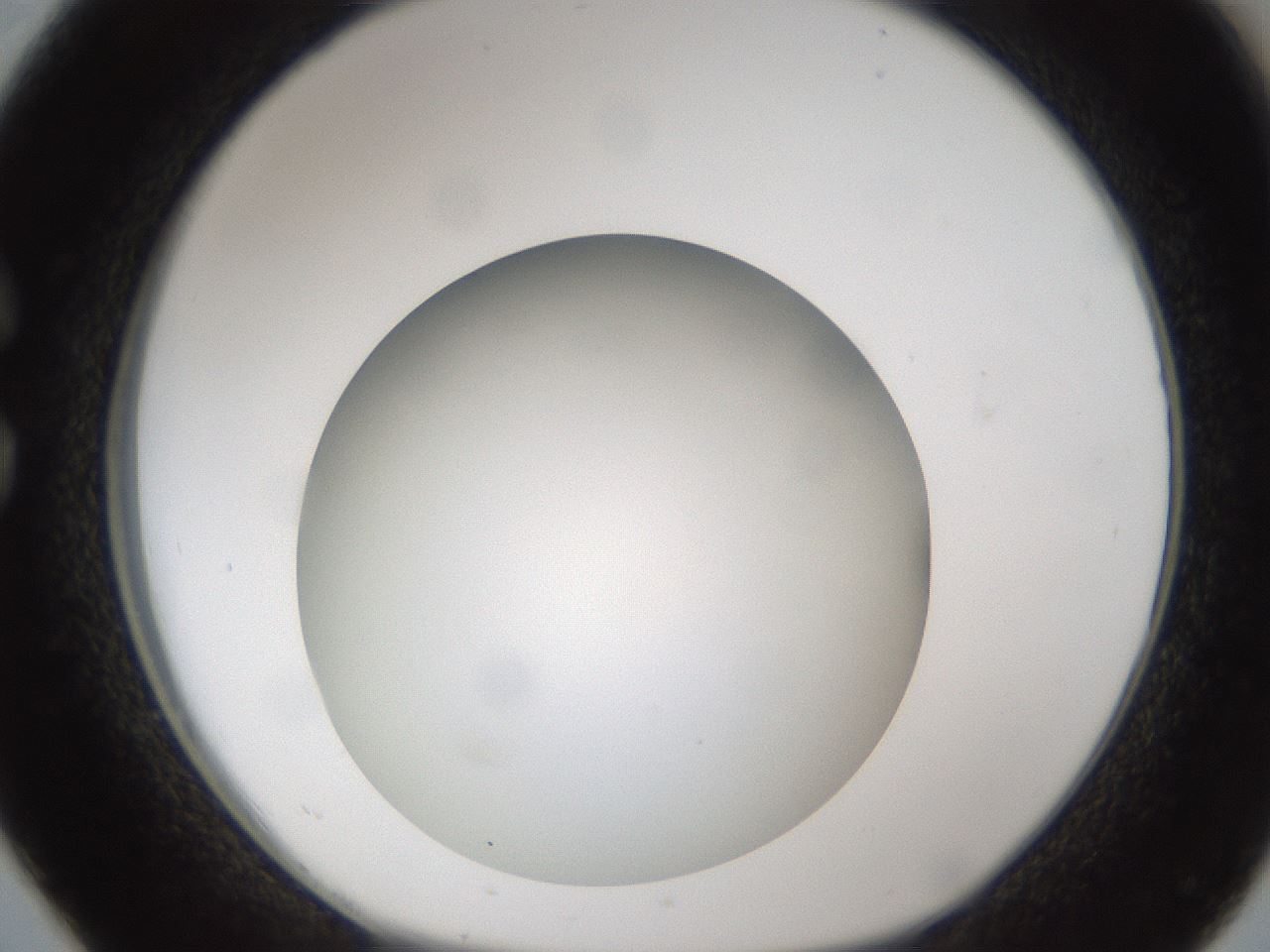 folderID302_plateID1302_batchID4262_wellNum26_profileID1_d1_r78321_ef.jpg